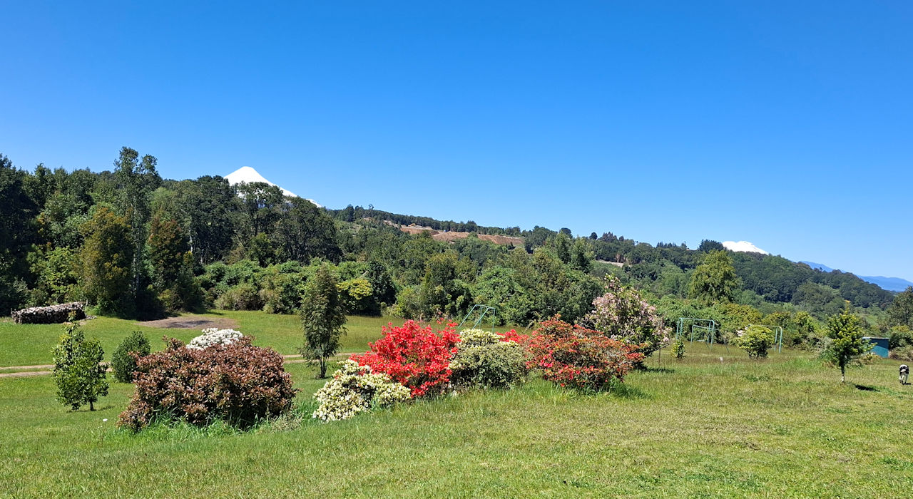 Galería 6