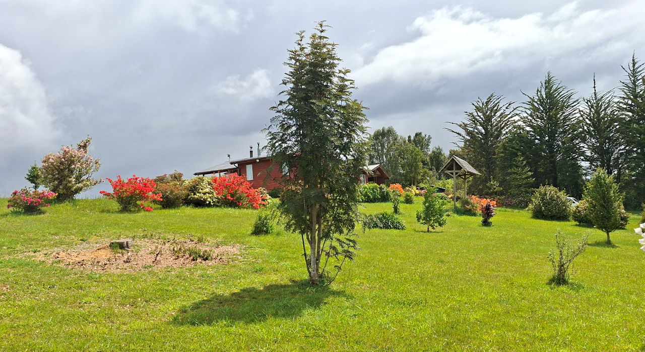 Galería 7